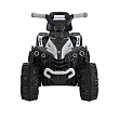 PITUSO Электроквадроцикл 491B 6V/4,5Ah,20W*1,колеса пласт,свет,муз,67*43*50см,Grey+White/Серо-белый