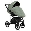 ROAN Коляска 2 в1 Bass Next короб + прогулка Sage Green/Black/руч.Black(2 места)