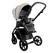 ROAN Коляска 2 в1 Bass Next  короб + прогулка Marzipan/Black/руч.Cappuccino(2 места)