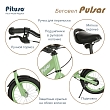 PITUSO Беговел Pulsar, колеса AIR 14", тормоз, подножка,Green matt/Зеленый матовый 