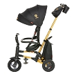 QPlay Велосипед трехколесный NOVA +, Black-Gold/Черный-Золотой