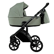 ROAN Коляска 2 в1 Bass Next короб + прогулка Sage Green/Black/руч.Black(2 места)