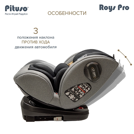 Pituso Удерживающее устройство для детей 0-36 кг Roys Grey, Black Inlay /Серый,Черный вкладыш