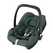 Maxi-Cosi Удерживающее устройство для детей 0-13 кг CabrioFix i-size Essential green/зеленый  2шт/кор