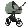 ROAN Коляска 2 в1 Bass Next короб + прогулка Sage Green/Black/руч.Black(2 места)