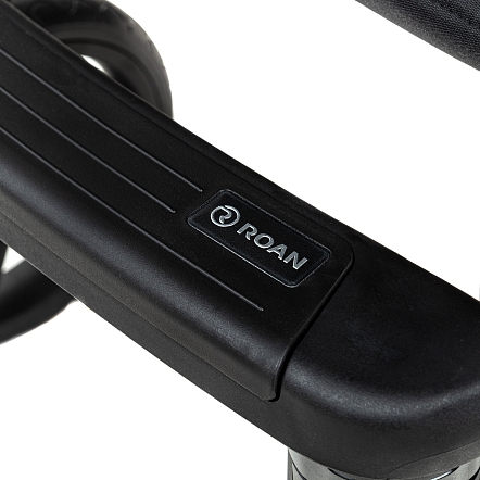 ROAN Коляска 2 в1 Bass Next короб + прогулка Sage Green/Black/руч.Black(2 места)