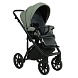 ROAN Коляска 2 в1 Bass Next короб + прогулка Sage Green/Black/руч.Black(2 места)