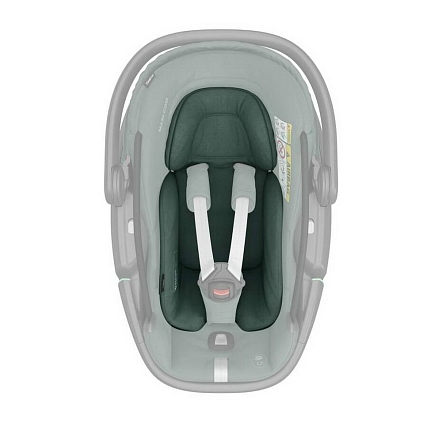 Maxi-Cosi Удерживающее устройство для детей 0-13 кг Сoral 360  Essential Green/зеленый (2023)