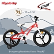 Велосипед Royalbaby двухколесный, Galaxy Fleet 18" Red/Красный