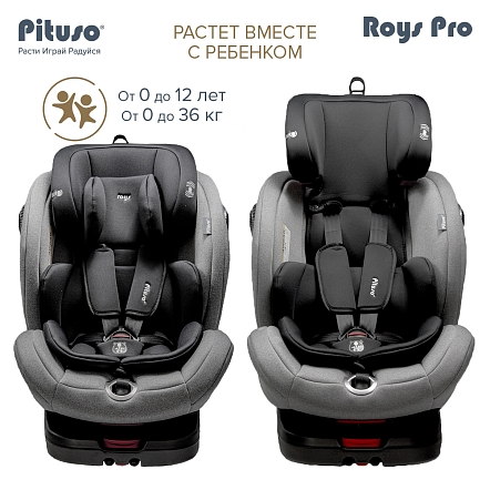Pituso Удерживающее устройство для детей 0-36 кг Roys Grey, Black Inlay /Серый,Черный вкладыш