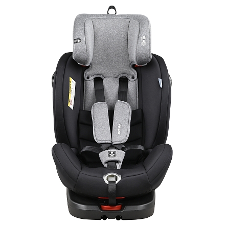 Pituso Удерживающее устройство для детей 0-36 кг Roys Black, Dark grey Inlay/Черный, Темно-сер вклад