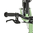 PITUSO Беговел Pulsar, колеса AIR 14", тормоз, подножка,Green matt/Зеленый матовый 