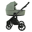 ROAN Коляска 2 в1 Bass Next короб + прогулка Sage Green/Black/руч.Black(2 места)