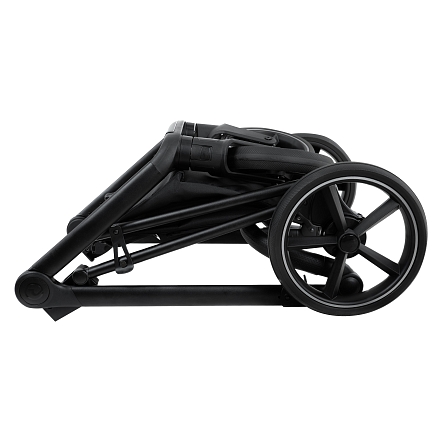 ROAN Коляска 2 в1 Bass Next короб + прогулка Sage Green/Black/руч.Black(2 места)