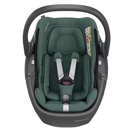 Maxi-Cosi Удерживающее устройство для детей 0-13 кг Сoral 360  Essential Green/зеленый (2023)