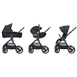 **Maxi-Cosi Коляска детская прогулочная Oxford Essential Graphite/графит
